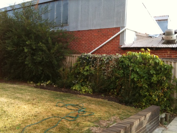 20100706_Garden_U2Rear.JPG