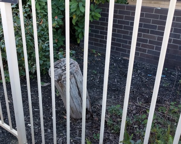 20170604_144402.jpg (500.56 KiB) Viewed 11710 times 20170604_144402.jpg