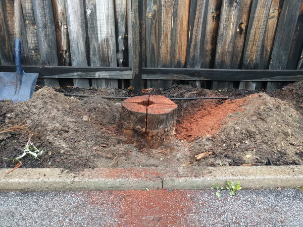 20170701_145244.jpg (580.54 KiB) Viewed 14633 times 20170701_145244.jpg