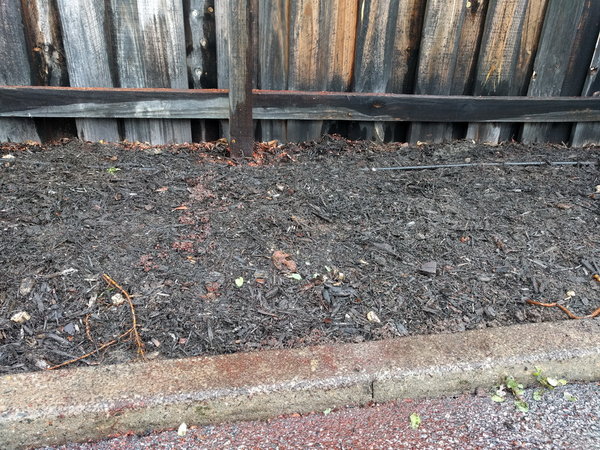 20170701_153316.jpg (634.22 KiB) Viewed 14633 times 20170701_153316.jpg