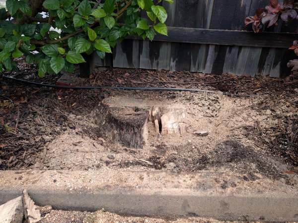 20170701_151931.jpg (578.36 KiB) Viewed 15527 times 20170701_151931.jpg