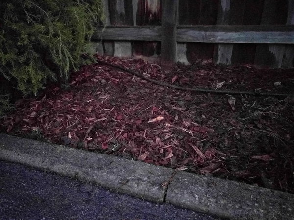 20170701_174146.jpg (446.33 KiB) Viewed 14633 times 20170701_174146.jpg