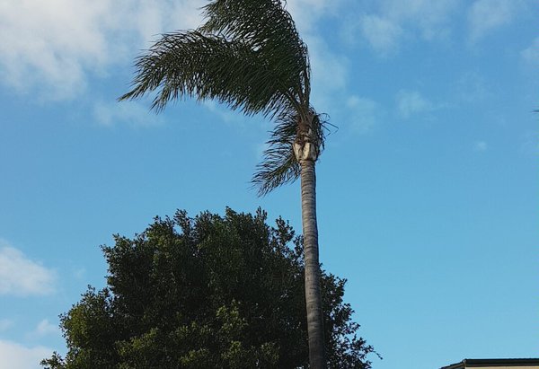 20170721-083309.jpg (107.95 KiB) Viewed 12004 times 20170721-083309.jpg