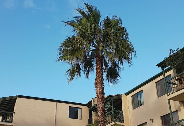 20170721-083305.jpg (128.45 KiB) Viewed 12004 times 20170721-083305.jpg