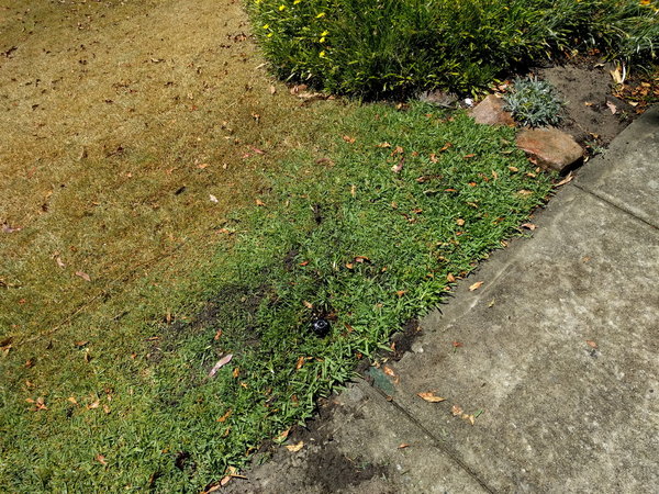 20171109_104235.jpg