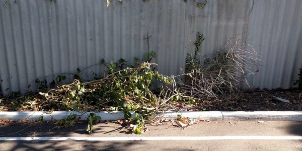 20171220_162458.jpg (143.64 KiB) Viewed 11066 times 20171220_162458.jpg