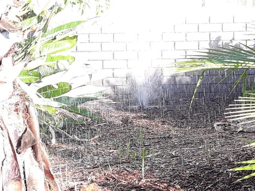 rps20180406_083330_291.jpg (171.38 KiB) Viewed 15753 times rps20180406_083330_291.jpg