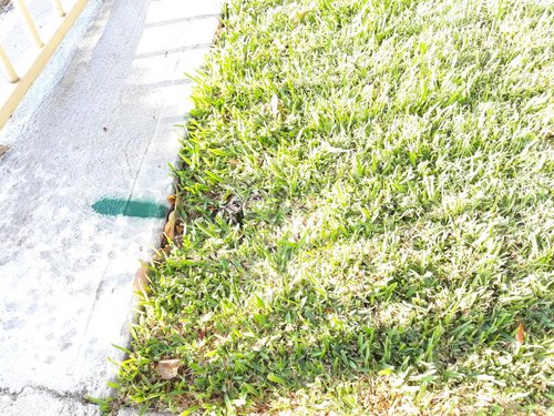 rps20180406_083352_690.jpg (263.44 KiB) Viewed 15400 times rps20180406_083352_690.jpg