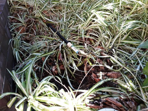 20180505_142524.jpg (2.54 MiB) Viewed 12060 times 20180505_142524.jpg