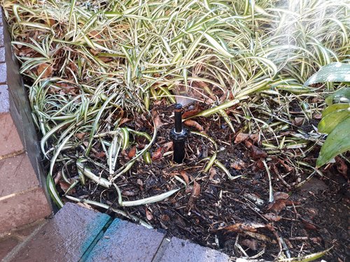 20180505_145027.jpg (3.24 MiB) Viewed 12060 times 20180505_145027.jpg