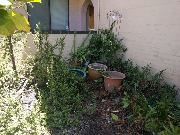 20160206_121512.jpg (526.06 KiB) Viewed 9811 times 20160206_121512.jpg