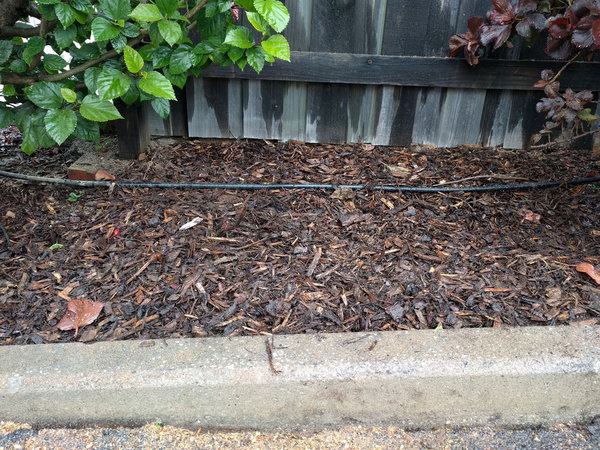 20170701_153354.jpg (621.23 KiB) Viewed 14421 times 20170701_153354.jpg