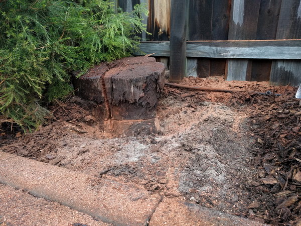 20170701_154724.jpg (626.12 KiB) Viewed 14421 times 20170701_154724.jpg