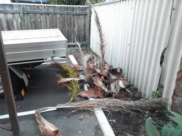 20170614_172646.jpg (429.23 KiB) Viewed 9955 times 20170614_172646.jpg