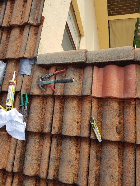 Resized_20170706_101812.jpeg (399.8 KiB) Viewed 11802 times Resized_20170706_101812.jpeg