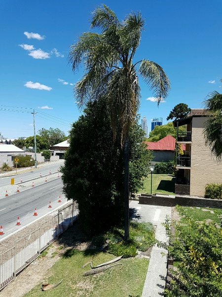 20161231_131354.jpg (266.14 KiB) Viewed 11203 times 20161231_131354.jpg