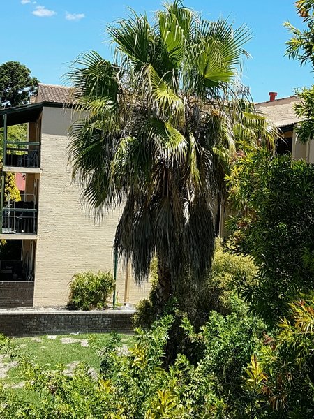 20161231_132916.jpg (334.87 KiB) Viewed 11203 times 20161231_132916.jpg