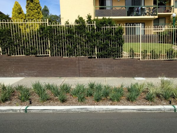 IMG_20171124_090152.jpg (436 KiB) Viewed 10058 times IMG_20171124_090152.jpg