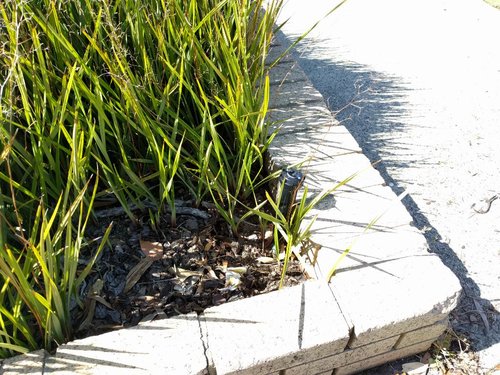 rps20180127_004319_809.jpg (204.21 KiB) Viewed 9538 times rps20180127_004319_809.jpg