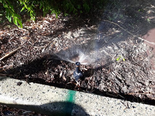 20180505_145051.jpg (3.9 MiB) Viewed 11223 times 20180505_145051.jpg